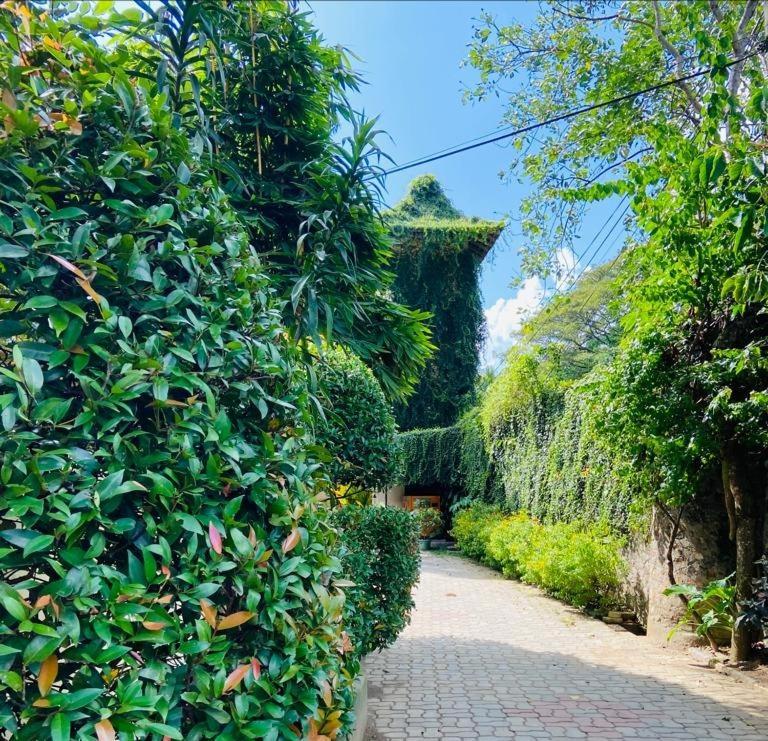 Udf Nature Villa Канді Екстер'єр фото